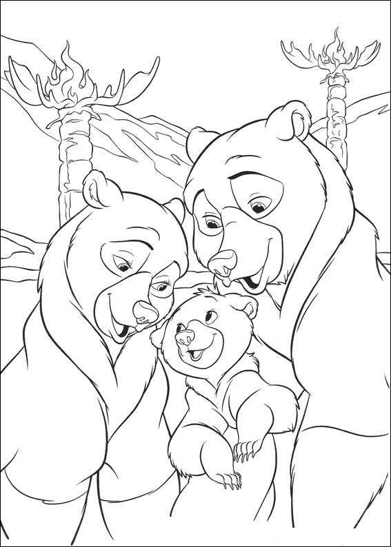 Kids-n-fun.de | Malvorlage Bärenbrüder 2 Bärenbrüder 2